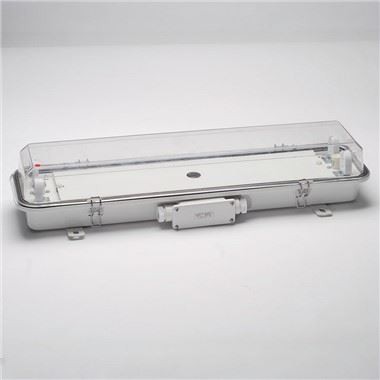 36W Fluorescent Pendant Light